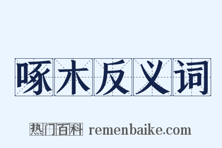 啄木反义词是什么意思的图片